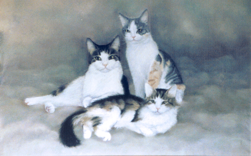 three tabby and white cats