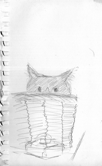 pencil sketch of cat in basket