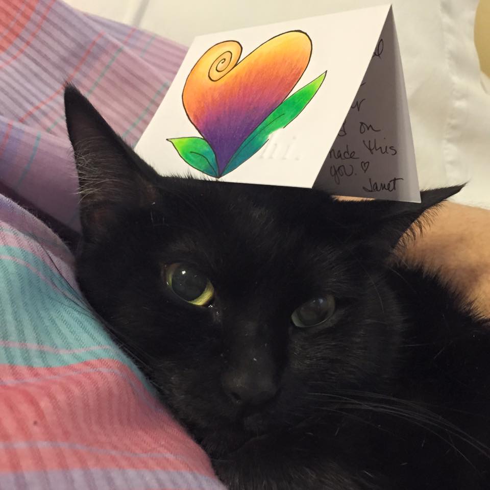 black cat with card