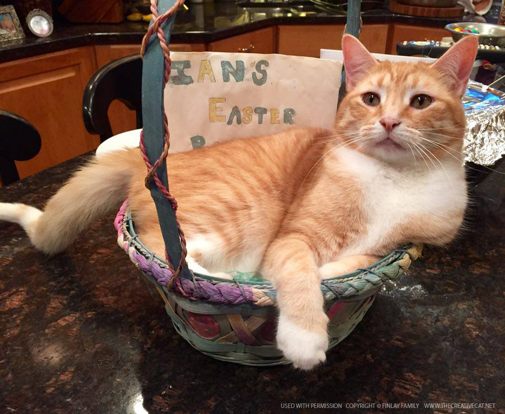 Ian's Easter basket.
