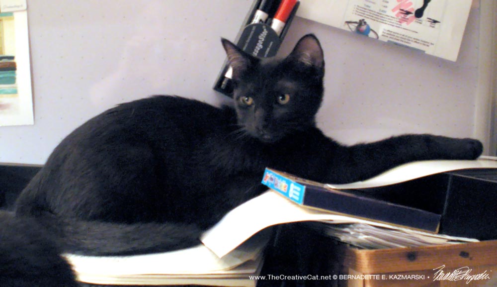 black kitten on desk