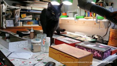 Mr. Sunshine does a quality control walk among the keepsakes, ensuring a supply of cat hair.