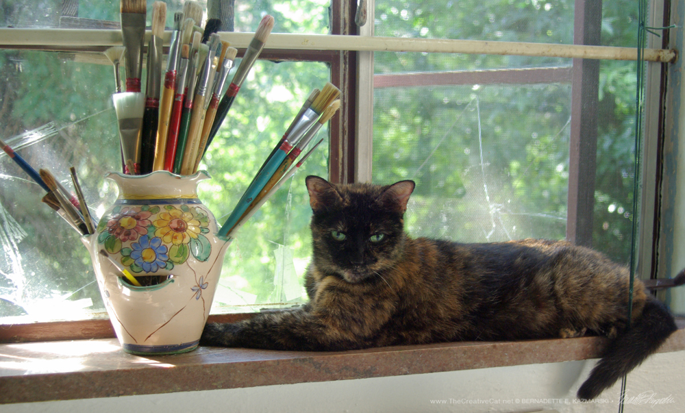 Kelly the Studio Cat, on the windowsill.