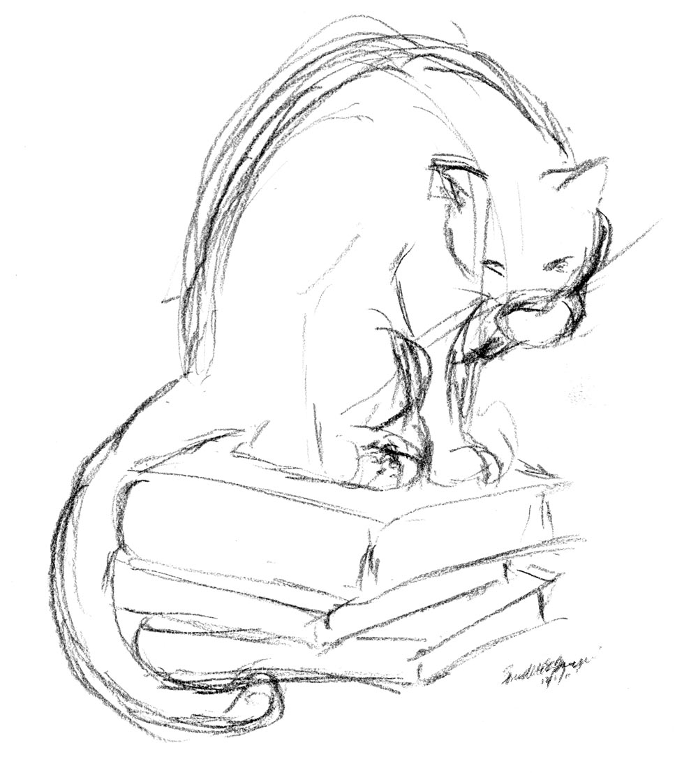 charcoal pencil sketch of cat on pile of books