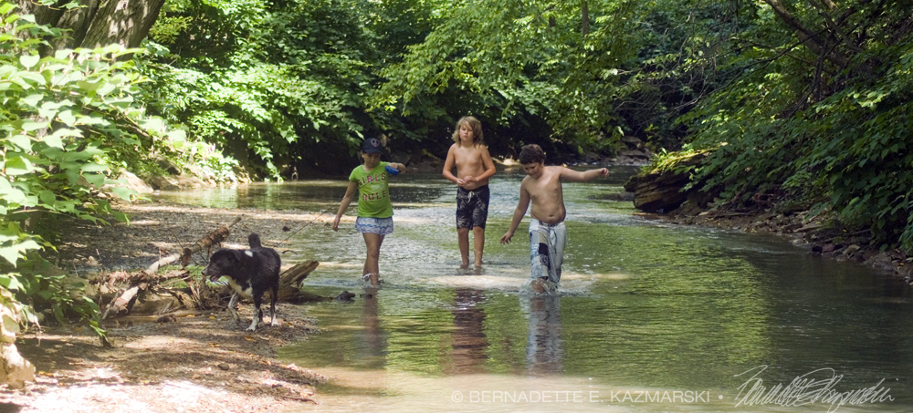 three kids in stream with dog