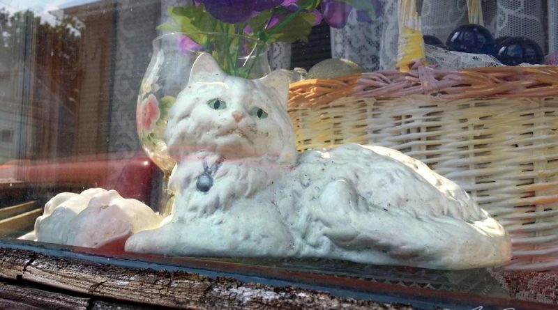 The kitty figurine in the window of the house where Sammy was trapped.