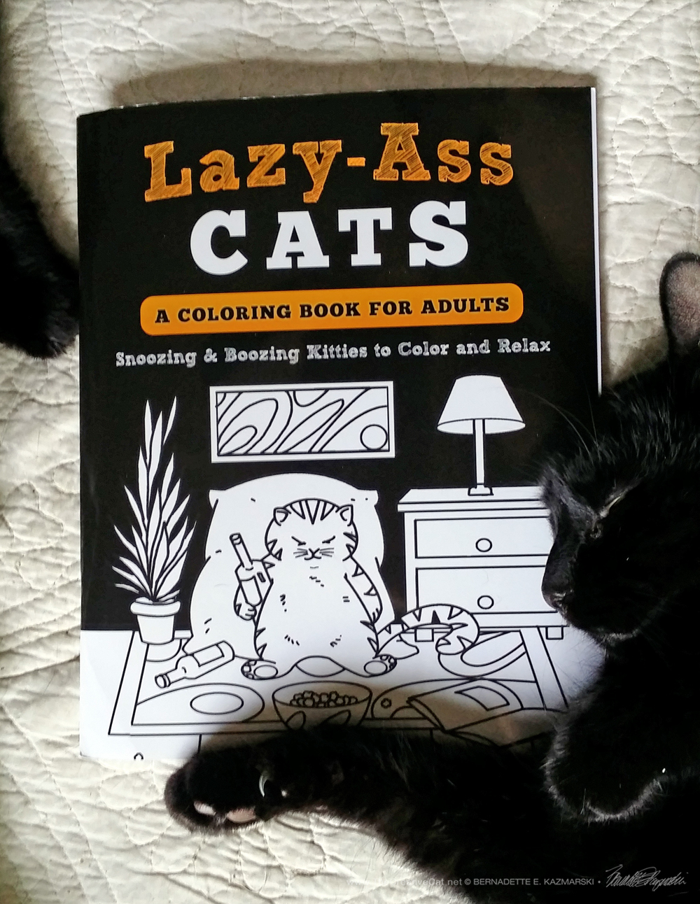 "Lazy-Ass Cats" coloring book.