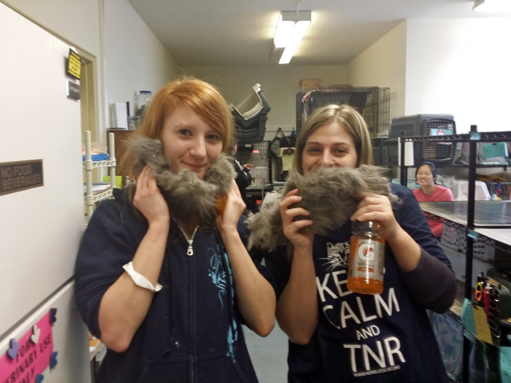 two women with cat fur