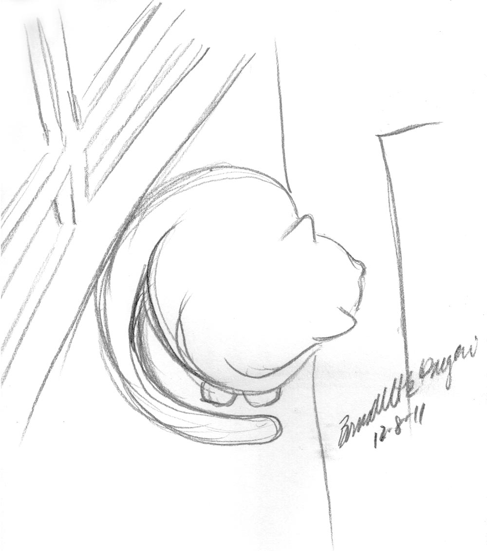 pencil sketch of cat looking out door