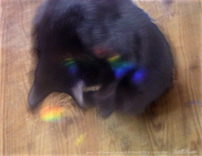 Lucy chasing rainbows.
