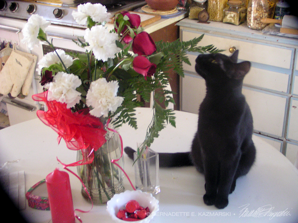 black cat with valentine flowers
