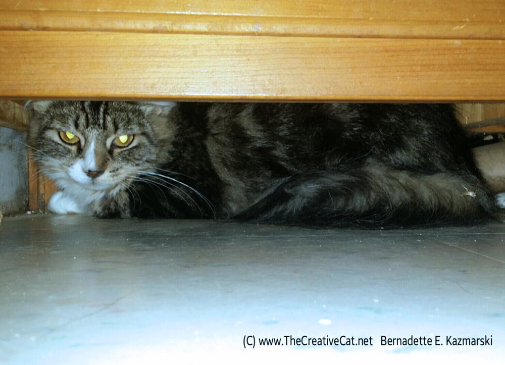 Under the cabinet.