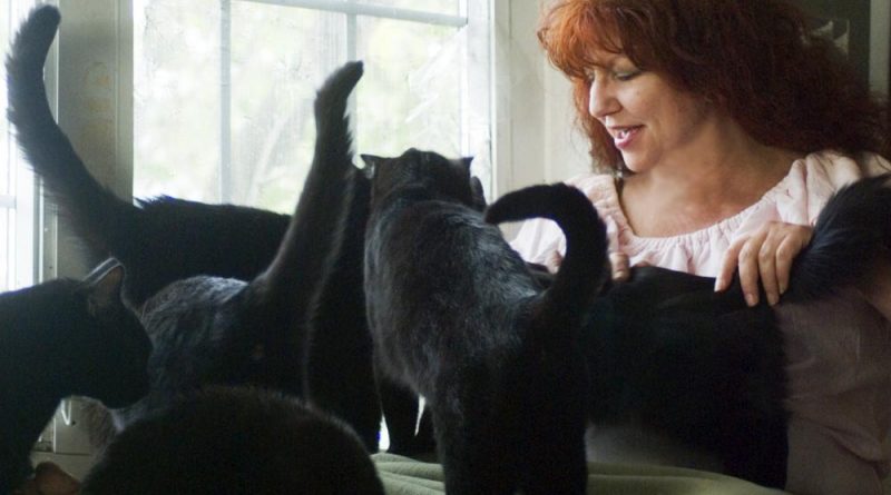 me with six black cats