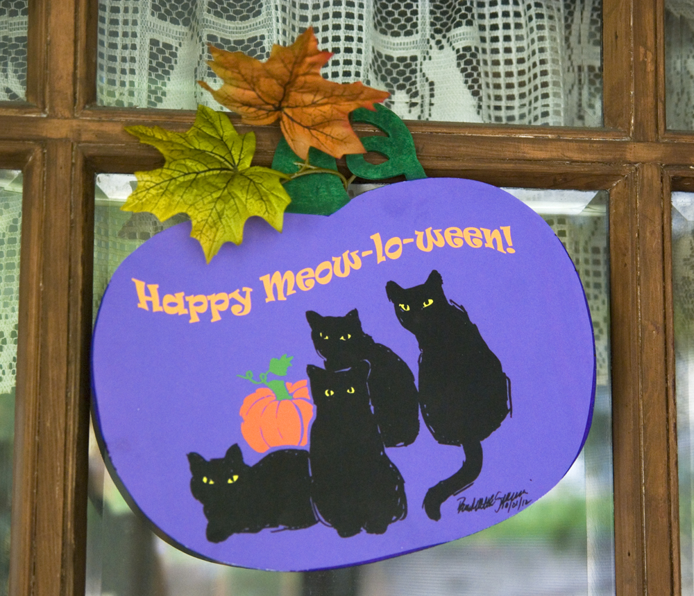 Greet Meow-lo-ween guests!