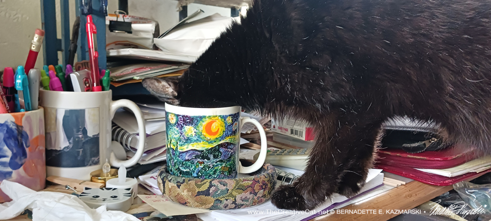 black cat drinking coffee