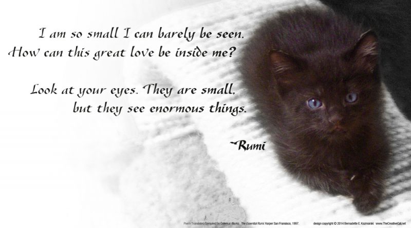Rumi, "This Great Love"