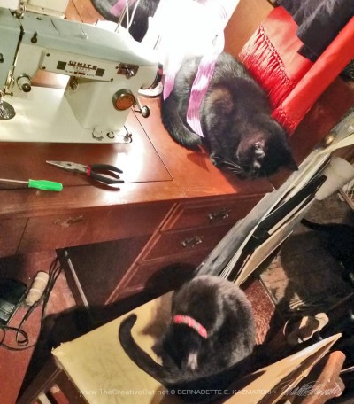 two black cats with sewing machine