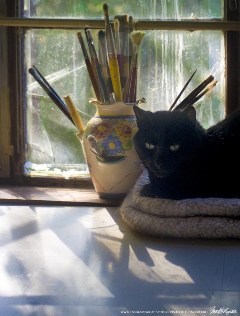 black cat on windowsill