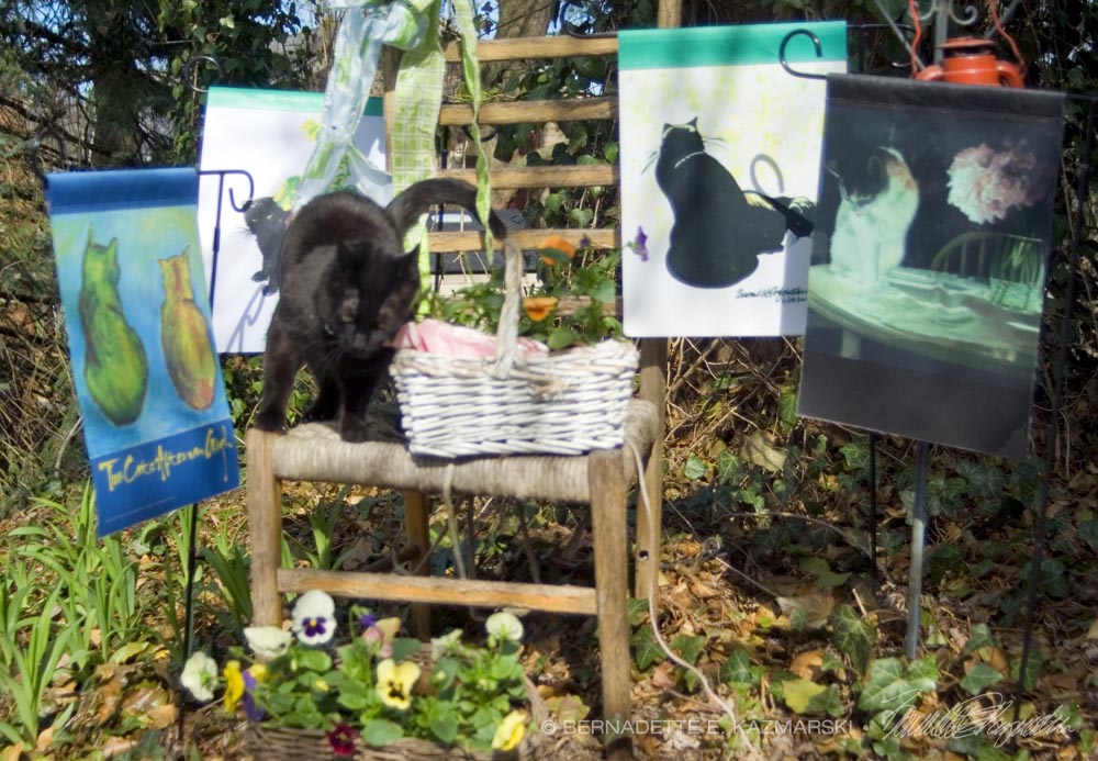 black cat with garden flags