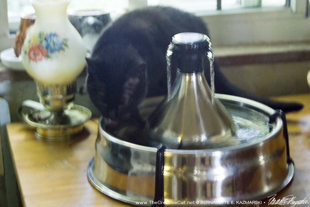Mimi had several drinks from the fountain as soon as she came in.