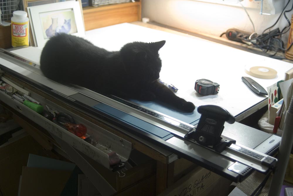 black cat with mat cutter