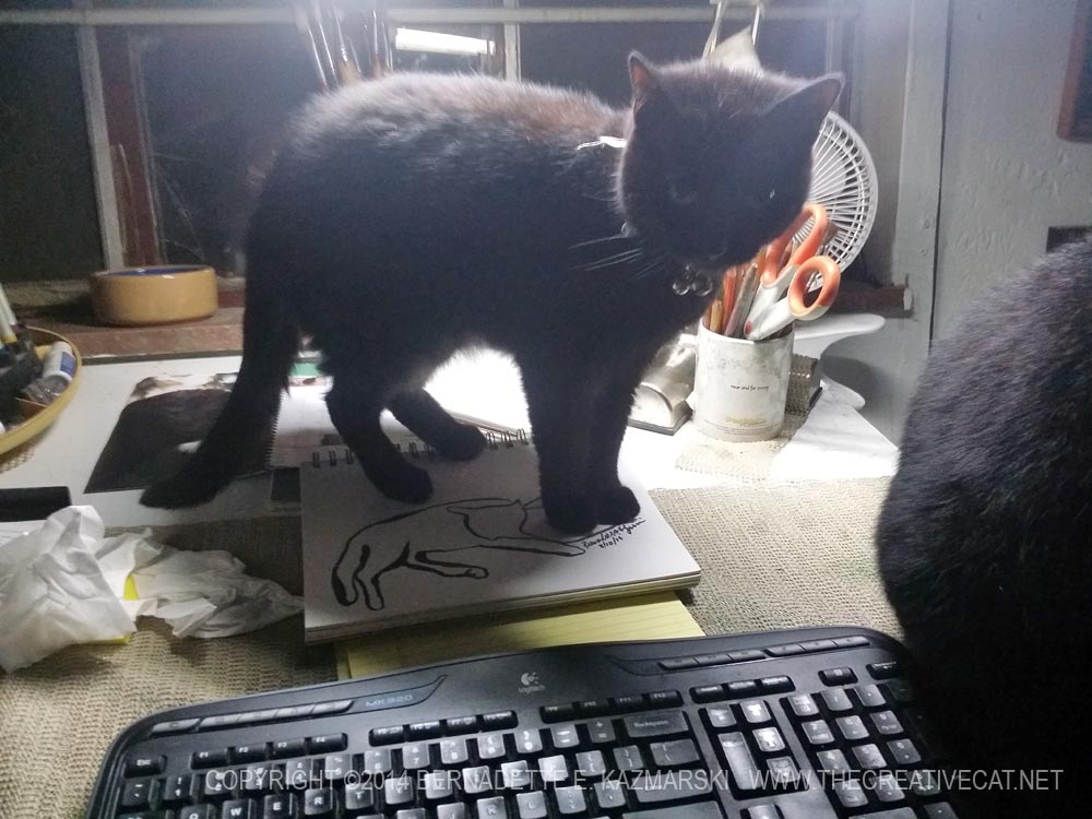 black cat on sketch book