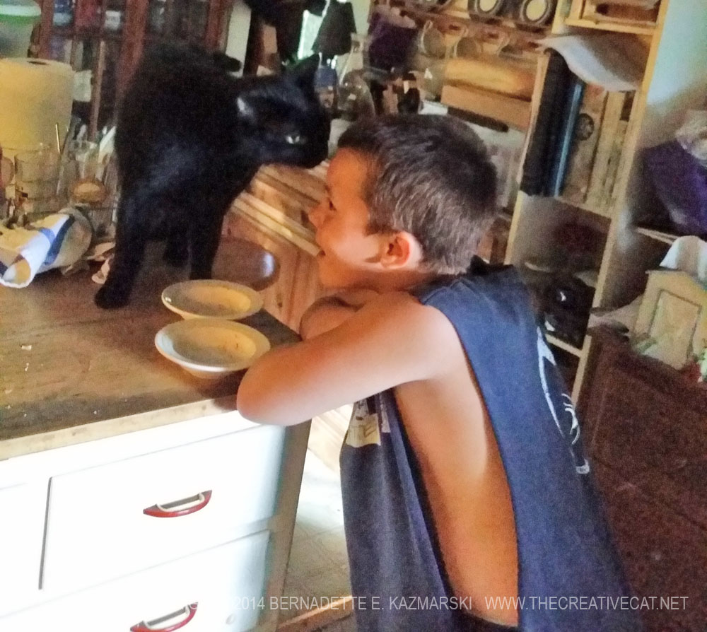 boy with black cats