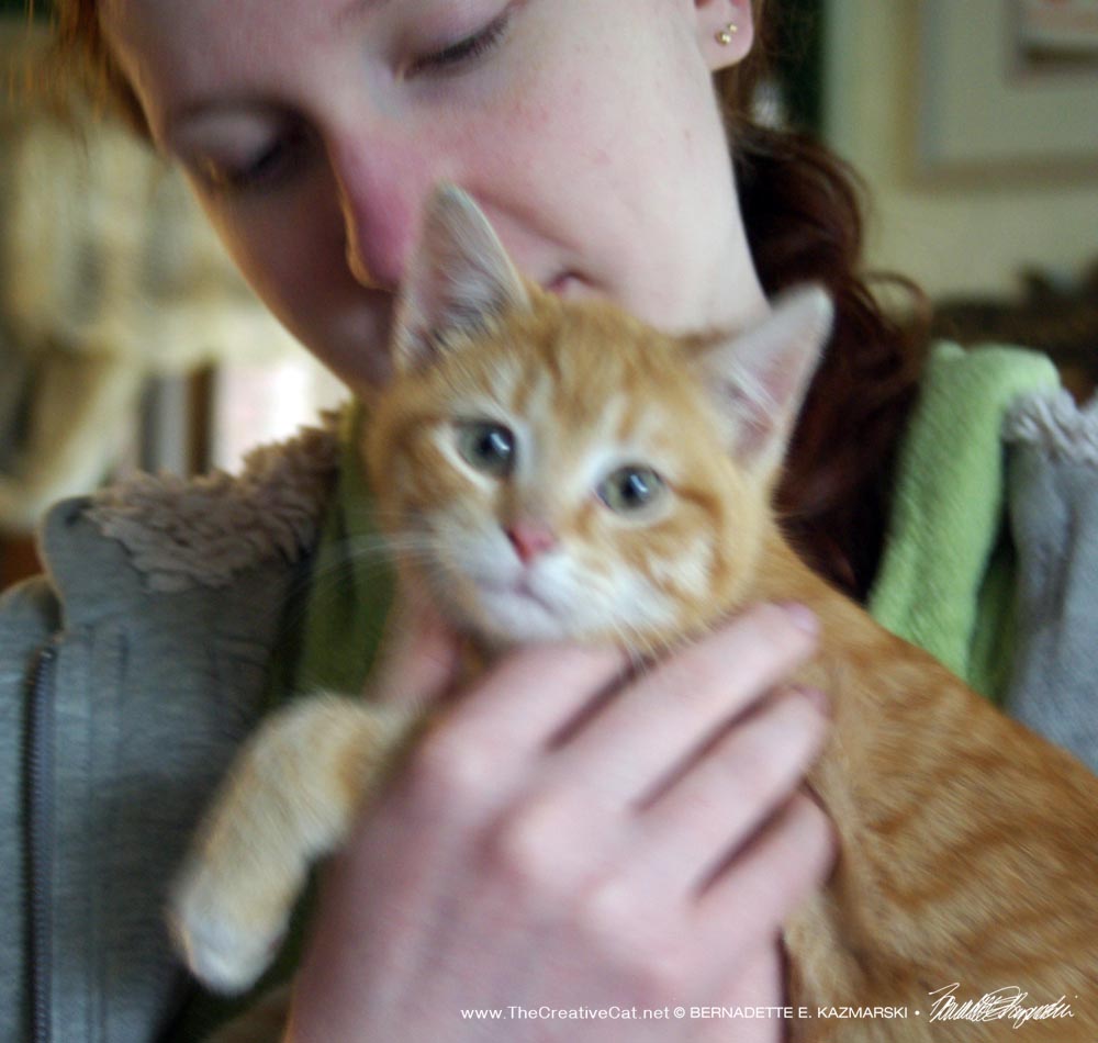 The orange kitten and Sara.
