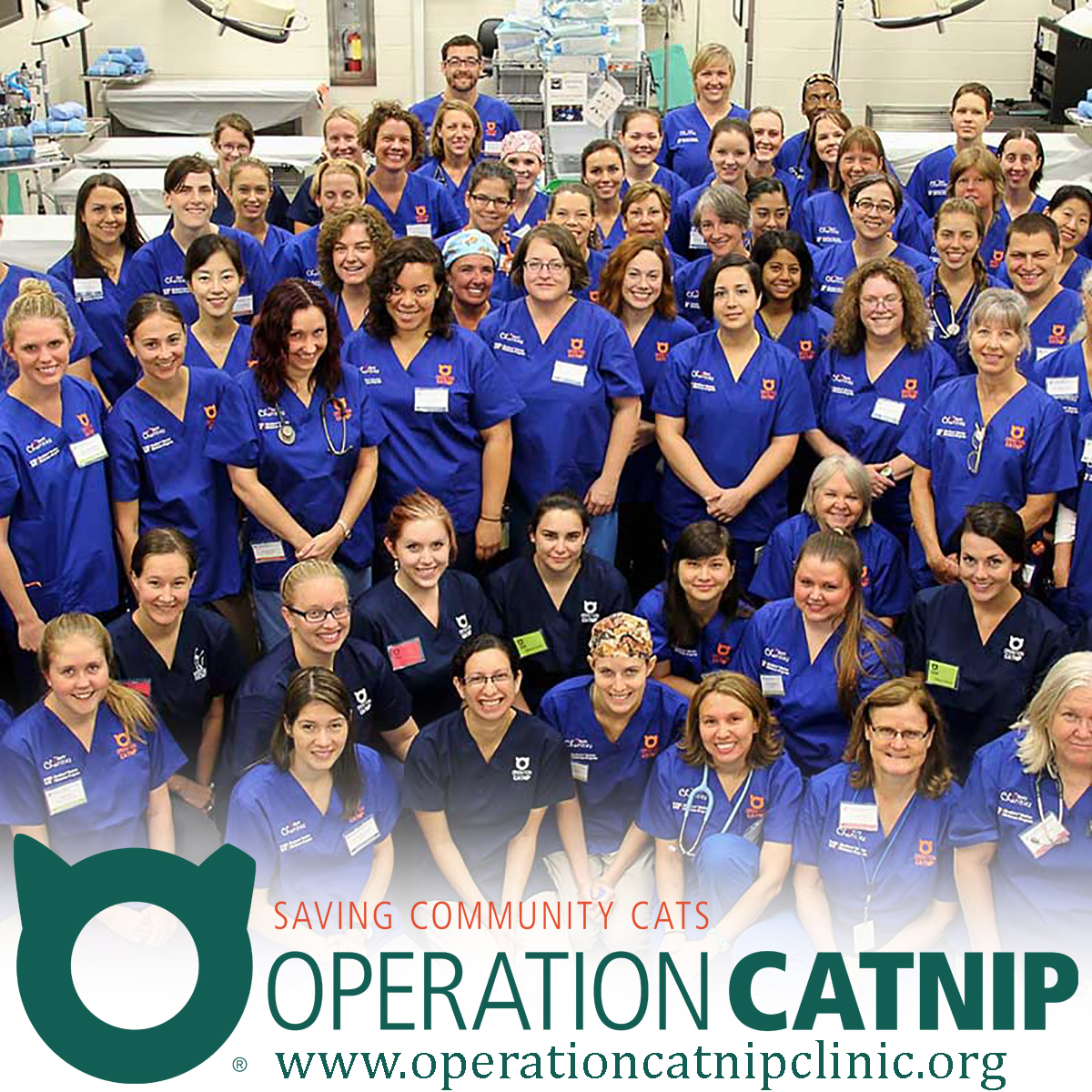 Operation Catnip participants.