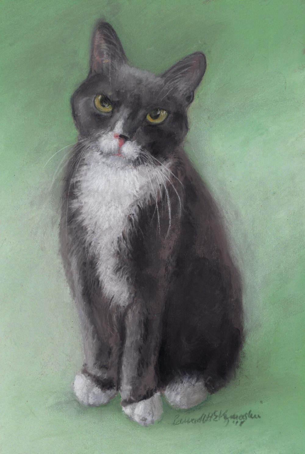 pastel portrait of cat