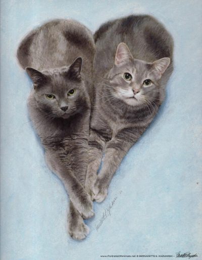 pastel portrait of two gray cats