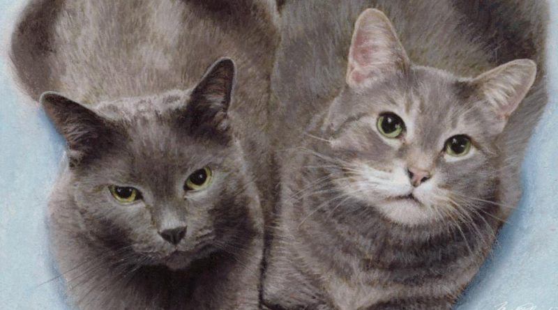 detail of pastel portrait of two gray cats