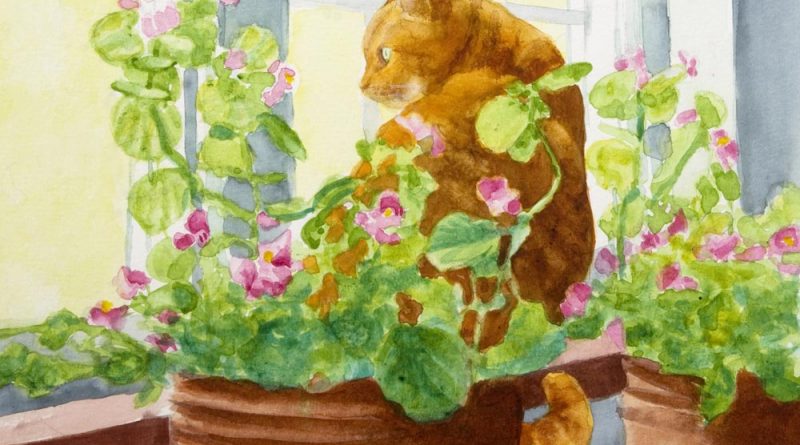 watercolor of orange cat with begonias at window