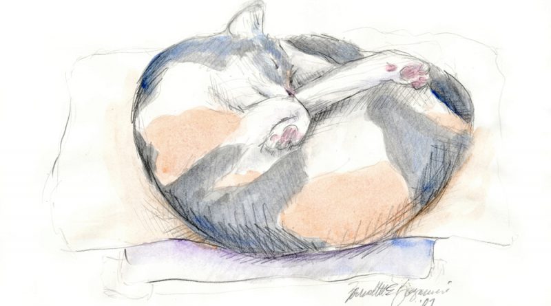Peaches' Nap Spot, pencil with watercolor, 11″ x 7.5″, 2008 © B.E. Kazmarski