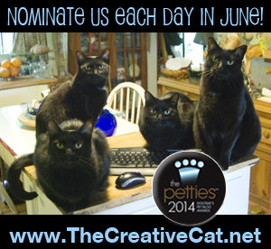Nominate us for a Petties Award