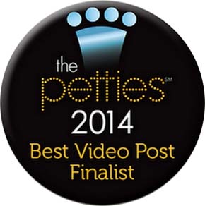 Petties Best Video Post Finalist