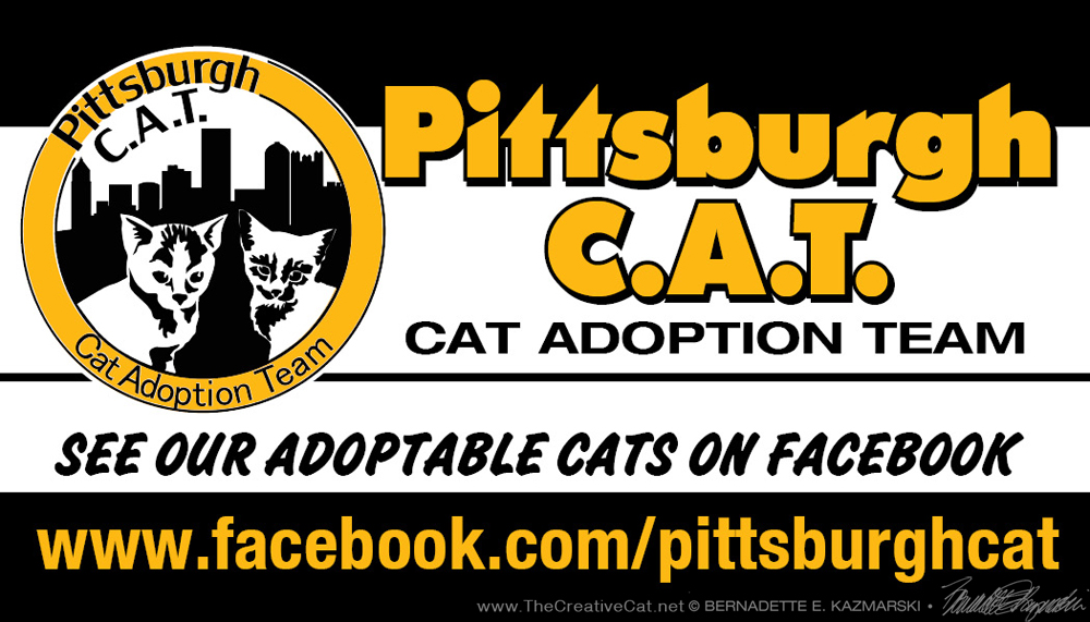 Pittsburgh CAT card front.