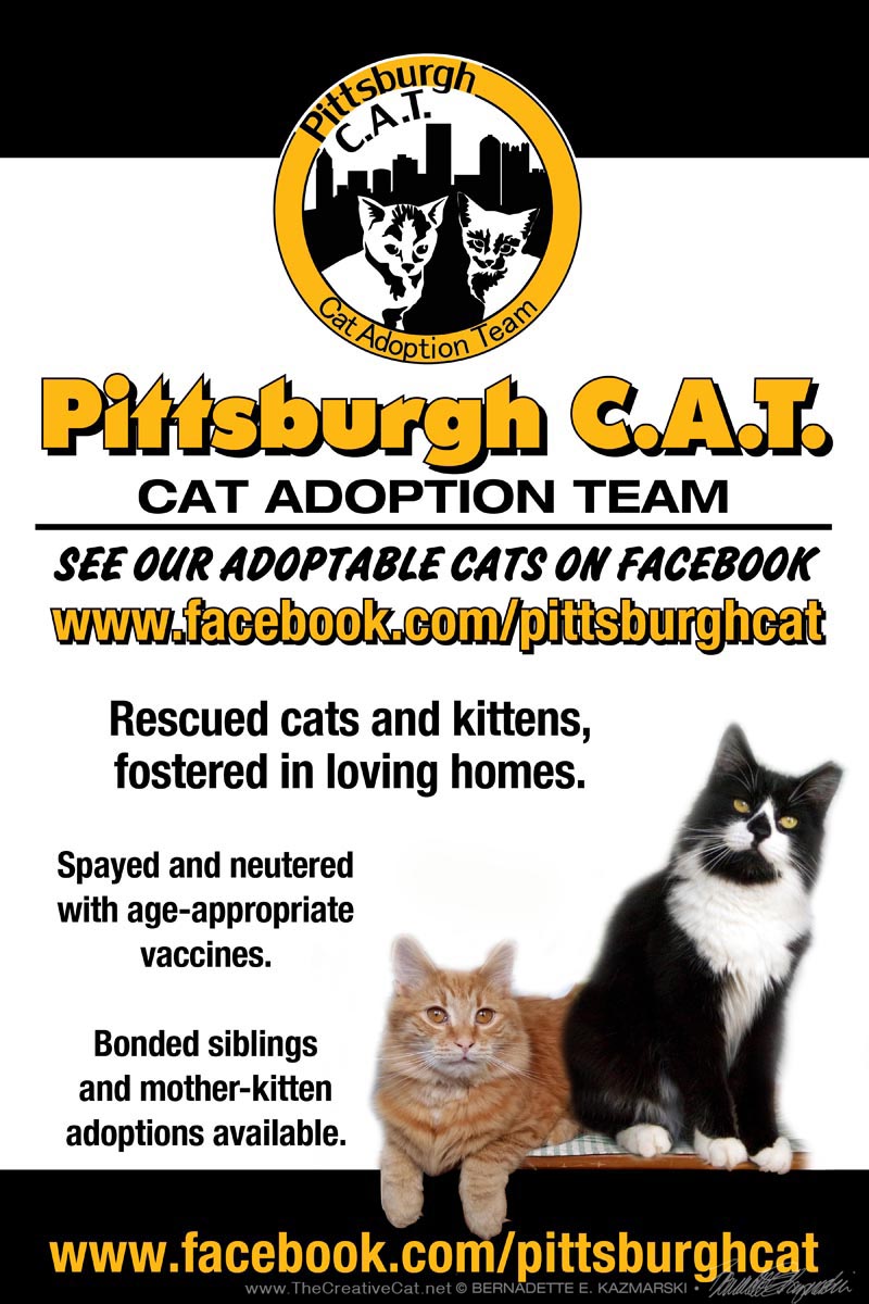 Pittsburgh CAT sign.