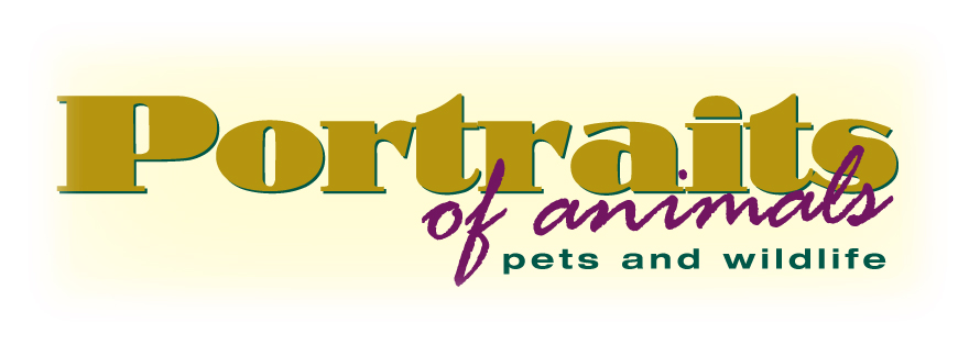 portraits of animals logo