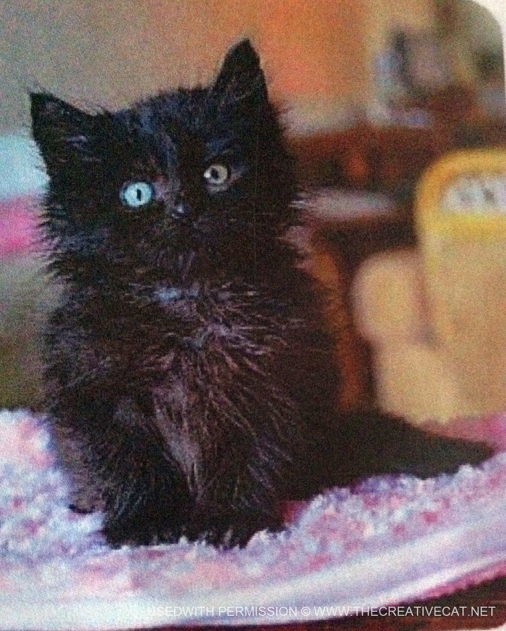 Princess's baby picture