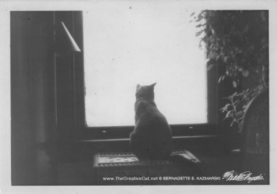 Puck at the window, the original photo.