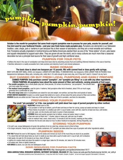 "Pumpkins, Pumpkins, Pumpkins!"downloadable guidesheet.