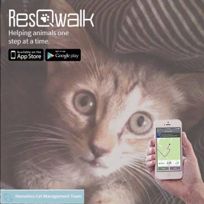 ResQwalk