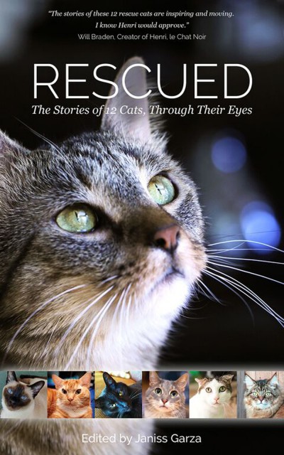 Rescued: The Stories of 12 Cats, Through Their Eyes 