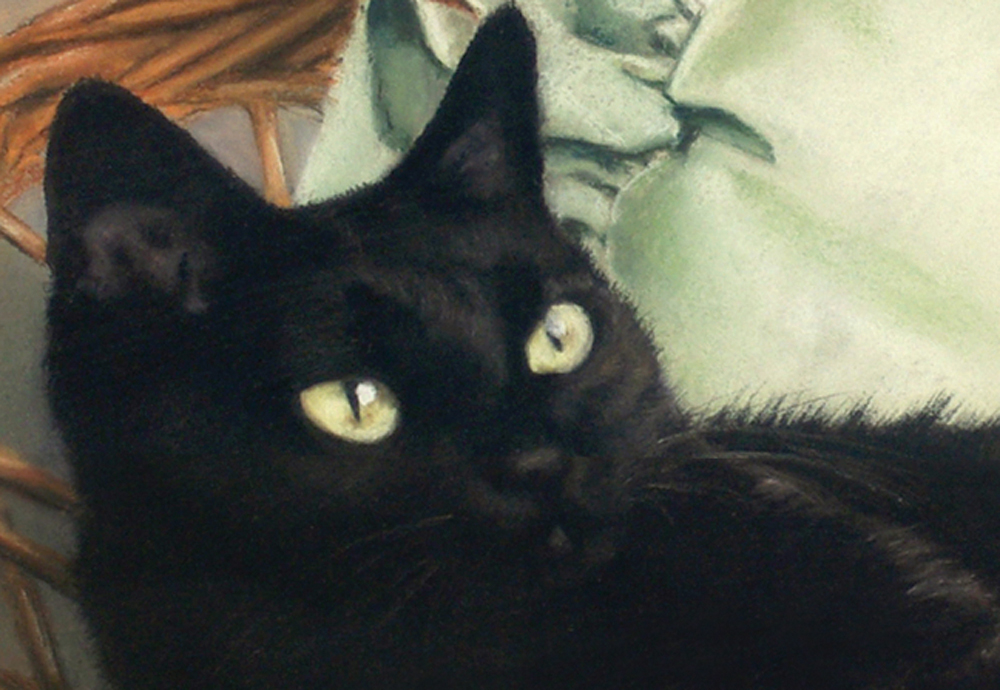 detail of portrait of black cat