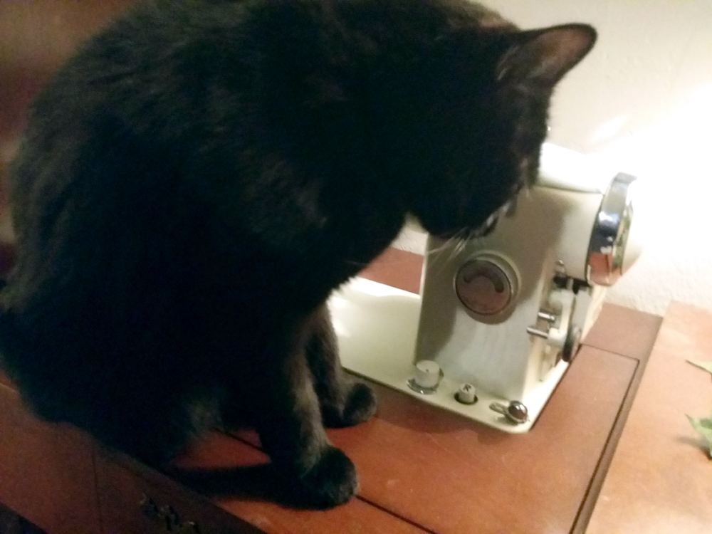 black cat with sewing machine
