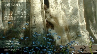 "Sophie Keeps an Eye on Things" 2560 x 1440 for wide and HD monitors desktop calendar wallpaper