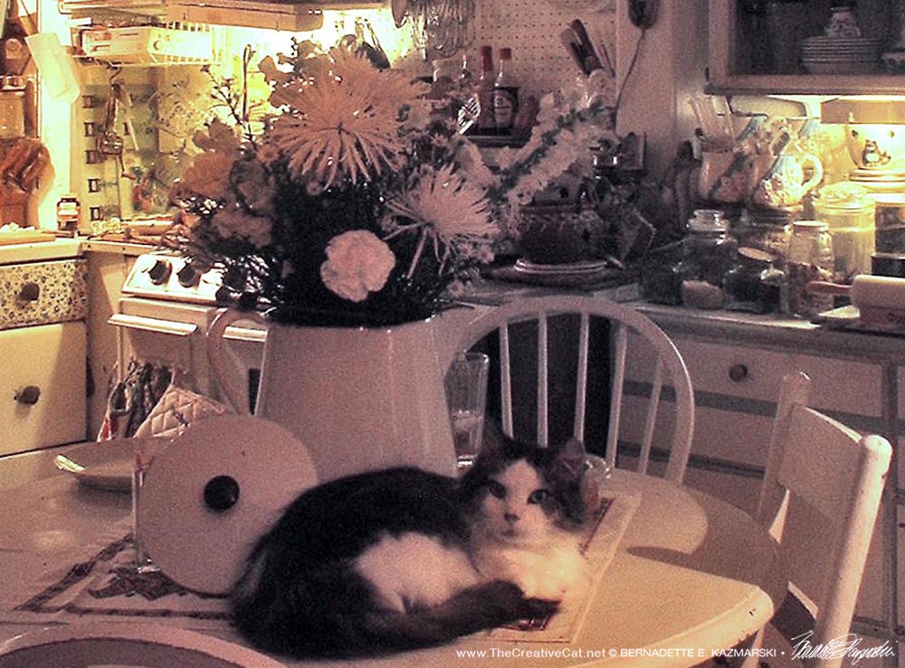 cat on table with flowers