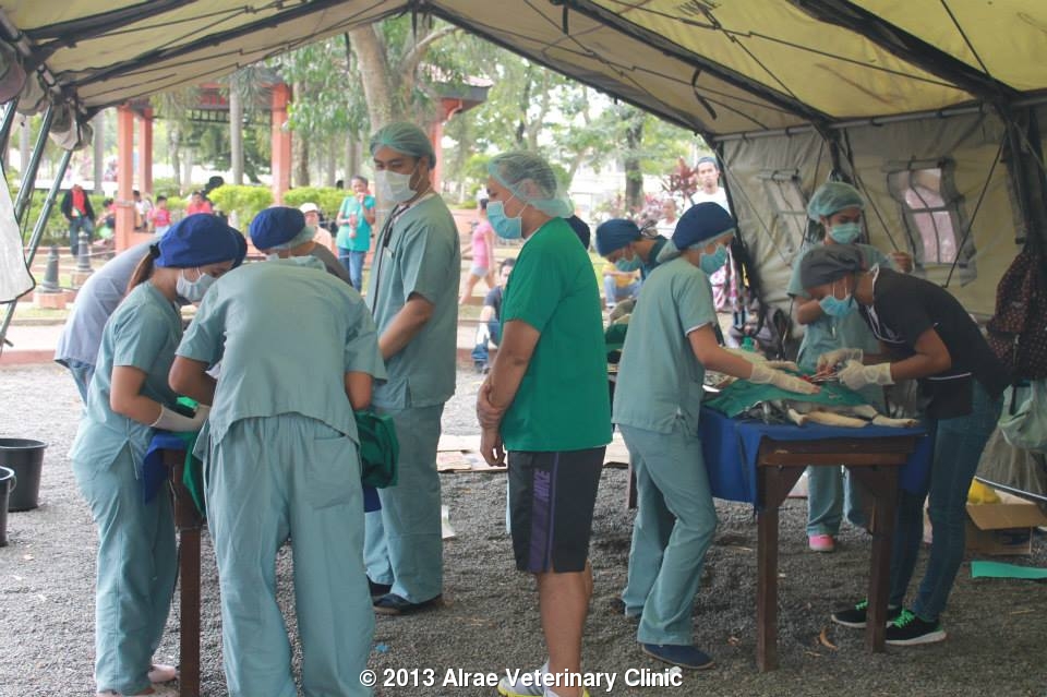 spay neuter rabies phillippines world rabies day