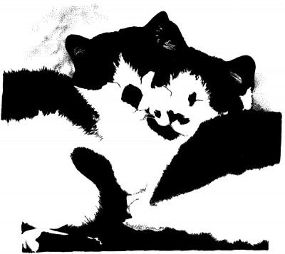 ink sketch of two black and white cats